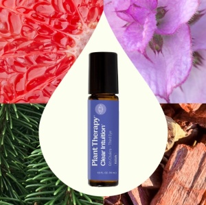 Clear Intuition (Chakra Fruntii / Chakra Ajna) Prediluat Roll-on - Img 2