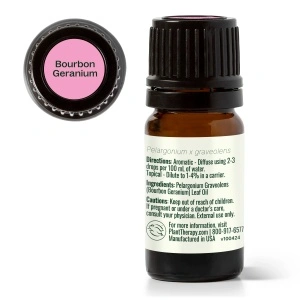 Geranium Bourbon (Mușcata Bourbon) - Img 3