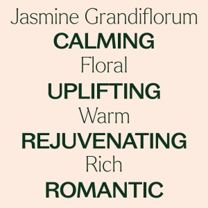 Jasmine Grandiflorum Absolute (Iasomie Spaniolă Pură) - Img 4