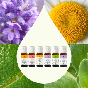 KidSafe Organic Blends - Set 6 x 10ml - Img 2