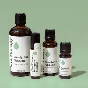 Organic Eucalyptus Globulus - Img 2