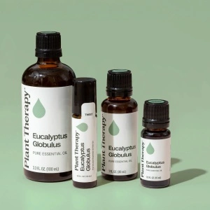 Organic Eucalyptus Globulus - Img 2