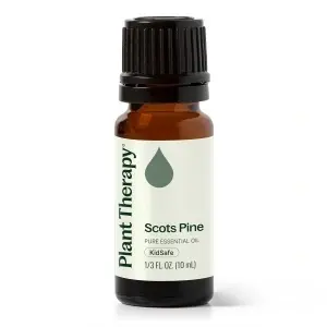 Scots Pine (Pin Scoțian)