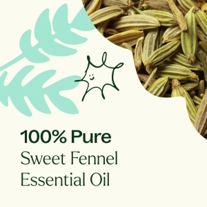Sweet Fennel (Fenicul dulce) - Img 5