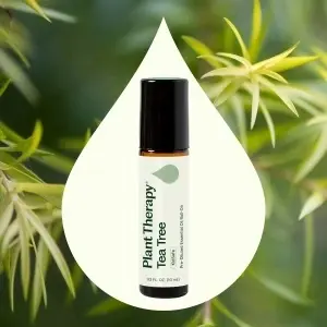 Tea Tree Prediluat Roll-n - Img 4