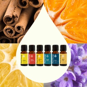 Top 6 Blends Set (set top 6 blenduri)– 6 buc x 10ml - Plant Therapy - Img 2