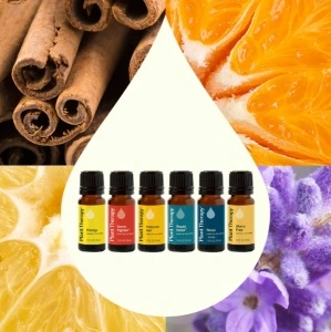 Top 6 Blends Set (set top 6 blenduri)– 6 buc x 10ml - Plant Therapy - Img 2