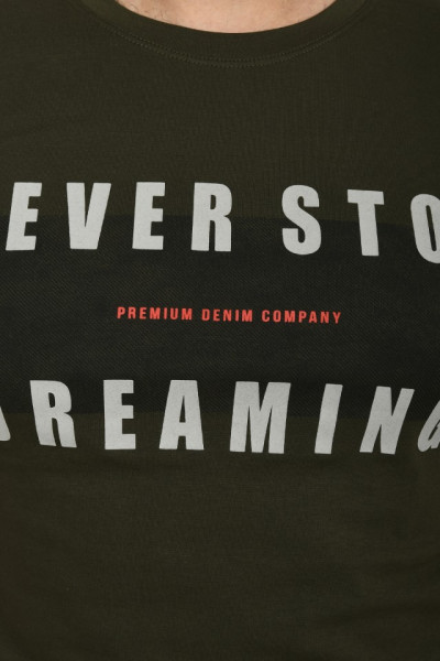 Tricou slim fit, NEVER STOP DREAMING, kaki - Img 3