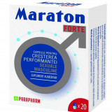 Maraton forte 20 capsule-ajutor pentru potenta