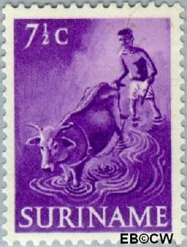 Suriname SU 301 1953 Inheemse voorstellingen Gebruikt 7½