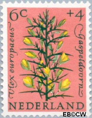 Nederland NL 0739 1960 Bloemen Gebruikt 6+4