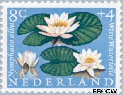 Nederland NL 0740 1960 Bloemen Gebruikt 8+4