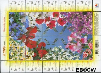 Nederland NL V2500#2509 2007 Bloemetje cadeau Gebruikt 44