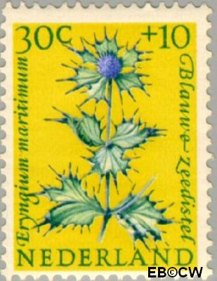 Nederland NL 0742 1960 Bloemen Gebruikt 30+10
