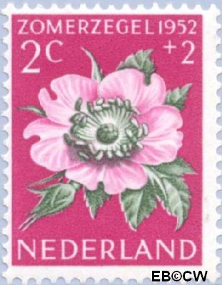 Nederland NL 0583 1952 Bloemen Gebruikt 2+2
