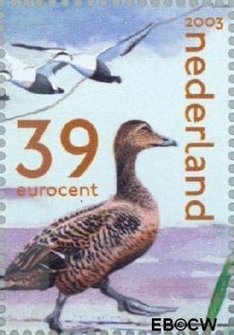 Nederland NL 2170c 2003 Nederlandse Wad Gebruikt 39
