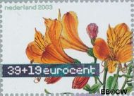 Nederland NL 2164 2003 Aquarellen van bloemen Gebruikt 39+19 - Img 1