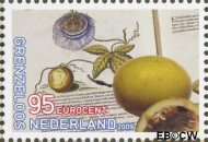 Nederland NL 2660 2009 Grenzeloos Nederland- Brazilië Gebruikt 95 - Img 2