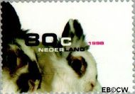 Nederland NL 1781 1998 Huisdieren Gebruikt 80 - Img 1