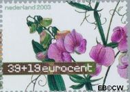 Nederland NL 2165 2003 Aquarellen van bloemen Gebruikt 39+19 - Img 1