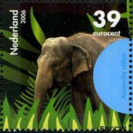 Nederland NL 2441k 2006 Bedreigde dieren Gebruikt 39 - Img 1