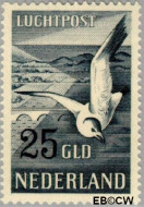 Nederland NL LP13 1951 Postpakketten Gebruikt 2500 - Img 2