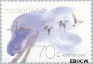 Nederland NL 1269 1982 Waddengebied Gebruikt 70 - Img 2