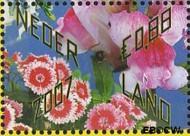 Nederland NL 2508 2007 Bloemetje cadeau Gebruikt 88 - Img 2