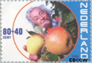 Nederland NL 1892 2000 Ouderen Gebruikt 80+40 - Img 2
