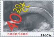 Nederland NL 1186 1979 Rechten kind Gebruikt 40+20 - Img 2
