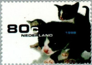 Nederland NL 1779 1998 Huisdieren Gebruikt 80 - Img 2