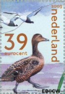 Nederland NL 2170c 2003 Nederlandse Wad Gebruikt 39 - Img 2