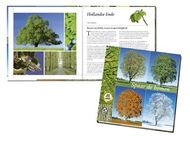 DAVO BOEK SPAAR DE BOMEN (19)