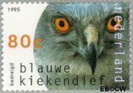Nederland NL 1650 1995 Roofvogels Gebruikt 80 - Img 1