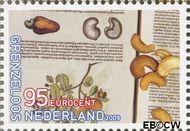 Nederland NL 2663 2009 Grenzeloos Nederland- Brazilië Gebruikt 95 - Img 1