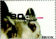 Nederland NL 1781 1998 Huisdieren Gebruikt 80 - Img 2