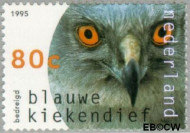 Nederland NL 1650 1995 Roofvogels Gebruikt 80 - Img 2