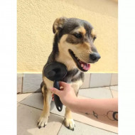 Perie pentru indepartarea parului animalelor de companie, PM000189053