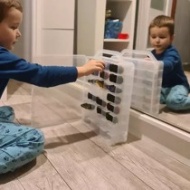 Cutie pentru pastrarea masinutelor, cu 46 compartimente, PM00020313