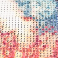 Goblen mozaic cu diamante, papadii, 30 x 30 cm, PM000162123
