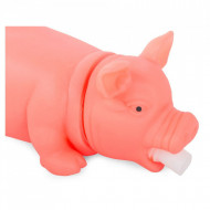 Jucărie pentru catei care scârțâie, PM190433