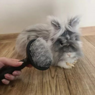 Perie pentru indepartarea parului animalelor de companie, PM000189053