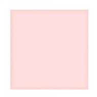 Goblen mozaic cu diamante, papadii, 30 x 30 cm, PM000162123