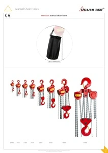 PALAN MANUAL CU LANT DELTARED