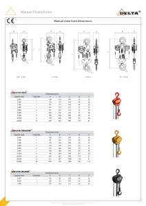 PALAN MANUAL CU LANT DELTA