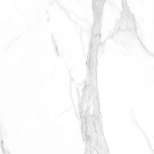 CAPITOL white brillo 60.5x60.5 MF01 2F (P/Z)