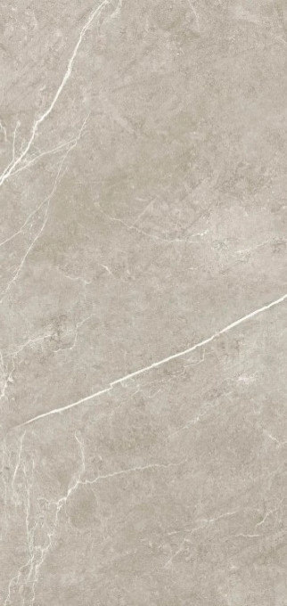 NIVAL gris mate 60x120 rett MA05 0R (P)
