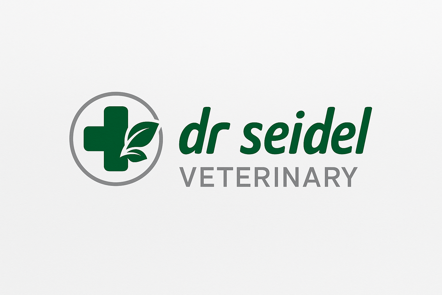 Dr Seidel