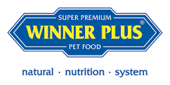 Winner Plus