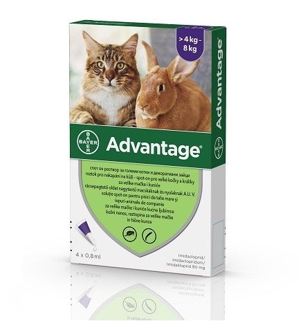 Advantage 80mg - Antiparazitar extern pentru pisic (4-8kg) 4 Pipete